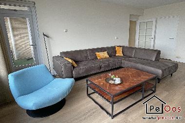 Appartement de vacances /en/au Noordwijk aan Zee (Zuid-Holland)ou appartement ou maison de vacances
