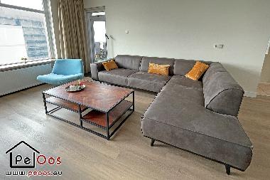 Appartement de vacances /en/au Noordwijk aan Zee (Zuid-Holland)ou appartement ou maison de vacances
