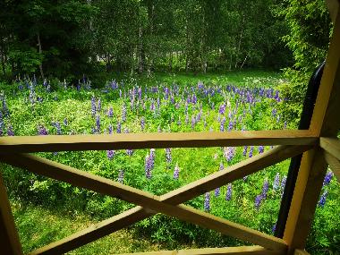 Maison de vacances �/en/au Mariannelund (Smaland)ou appartement ou maison de vacances