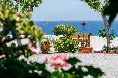 Appartement de vacances /en/au Mochlos (Lasithi)ou appartement ou maison de vacances