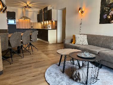 Appartement de vacances /en/au Saalbach (Pinzgau-Pongau)ou appartement ou maison de vacances