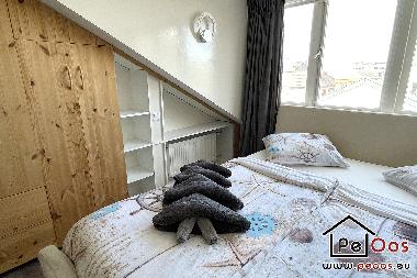 Maison de vacances �/en/au Katwijk aan Zee (Zuid-Holland)ou appartement ou maison de vacances