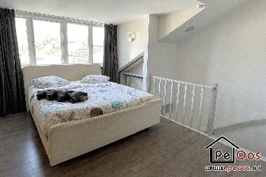 Maison de vacances �/en/au Katwijk aan Zee (Zuid-Holland)ou appartement ou maison de vacances