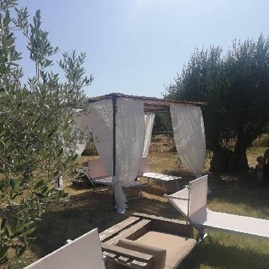 H�tel �/en/au Suvereto (Livorno)ou appartement ou maison de vacances