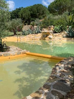 H�tel �/en/au Suvereto (Livorno)ou appartement ou maison de vacances