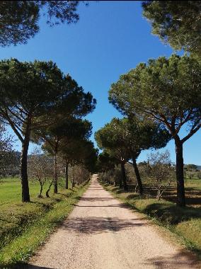 H�tel �/en/au Suvereto (Livorno)ou appartement ou maison de vacances