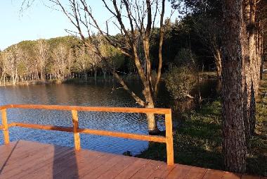 H�tel �/en/au Suvereto (Livorno)ou appartement ou maison de vacances