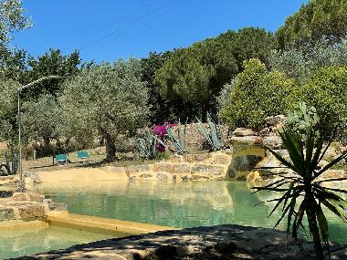 H�tel �/en/au Suvereto (Livorno)ou appartement ou maison de vacances
