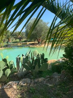 H�tel �/en/au Suvereto (Livorno)ou appartement ou maison de vacances