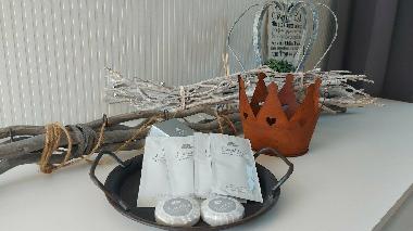 Maison de vacances �/en/au Wervershoof (Noord-Holland)ou appartement ou maison de vacances