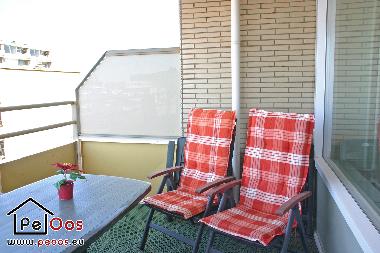 Appartement de vacances /en/au Noordwijk aan Zee (Zuid-Holland)ou appartement ou maison de vacances