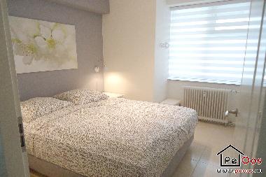 Appartement de vacances /en/au Noordwijk aan Zee (Zuid-Holland)ou appartement ou maison de vacances
