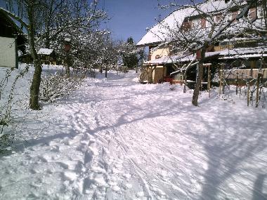 Appartement de vacances /en/au Bernau im Schwarzwald (Schwarzwald)ou appartement ou maison de vacances