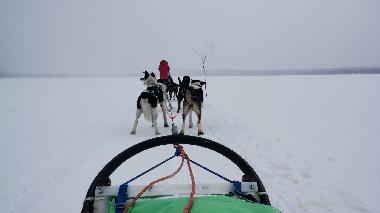 Maison de vacances �/en/au Abborrtr�sk (Norrbotten)ou appartement ou maison de vacances