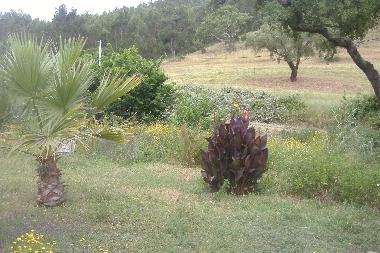 Maison de vacances �/en/au S�o Luis (Alentejo Litoral)ou appartement ou maison de vacances