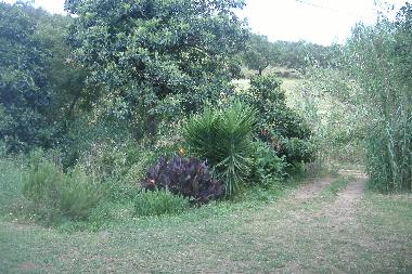 Maison de vacances �/en/au S�o Luis (Alentejo Litoral)ou appartement ou maison de vacances