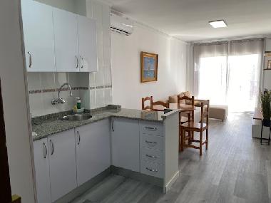 Appartement de vacances �/en/au Alicante (Alicante / Alacant)ou appartement ou maison de vacances