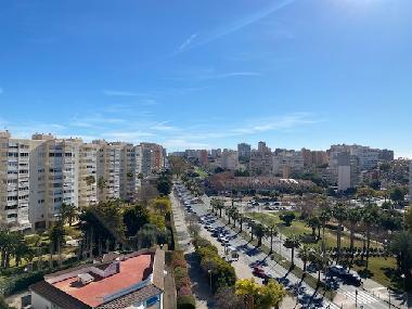 Appartement de vacances �/en/au Alicante (Alicante / Alacant)ou appartement ou maison de vacances